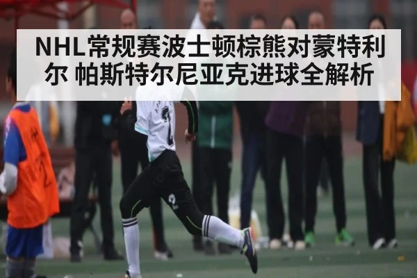 NHL常规赛波士顿棕熊对蒙特利尔 帕斯特尔尼亚克进球全解析